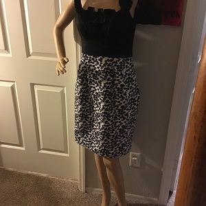 CUTE!  Jessica H Black and White Midi DressSize 6